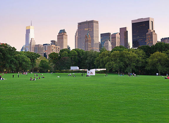 The Central Park Summer Pavilion hides in the Central Park reflecting the trees in it's facades. Only some white interior volumes peek outside.
